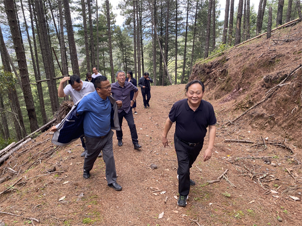 1751875416167953.jpg 1.jpg