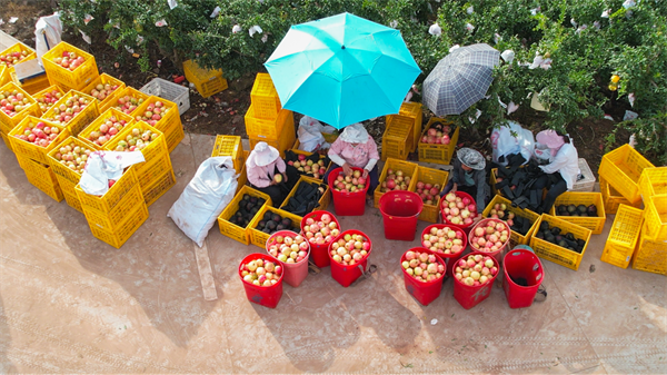 1758161444434431.png 圖片5.png