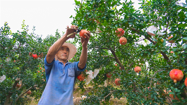 1758161451913234.png 圖片6.png