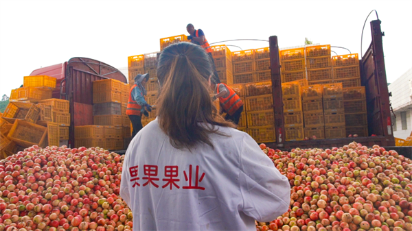 1758161486379271.png 圖片7.png