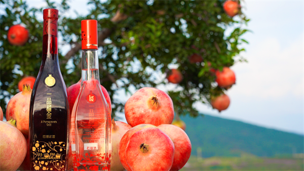 1758161505756397.png 圖片9.png