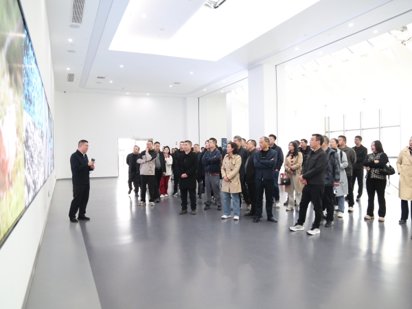 1763024460173025.jpg 1_副本.jpg